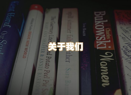 关于丹选阅读站